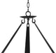 Swan Chandelier