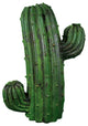 Distressed Saguaro MGO Cactus Decoration, Green