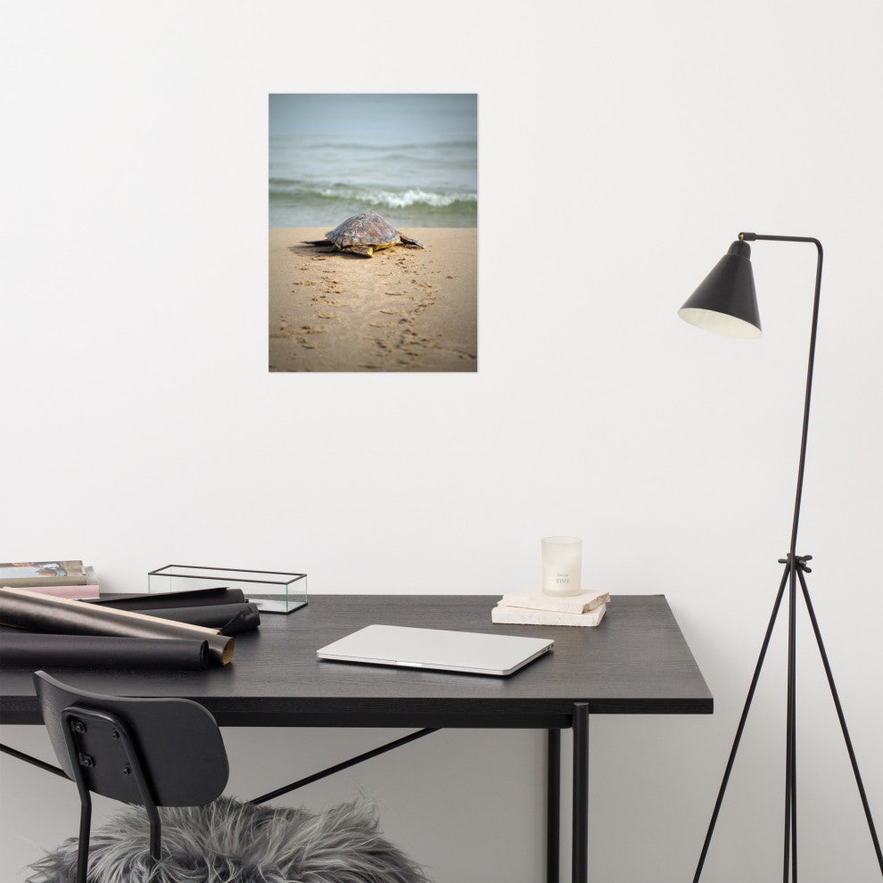 Baby Loggerhead Sea Turtle Beach Ocean Photograph Loose Wall Art Print, 18" X 24"