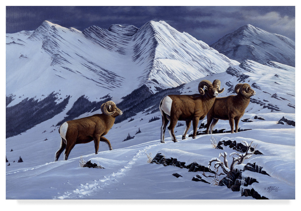 Wilhelm Goebel 'High Country Rams' Canvas Art, 24"x16"