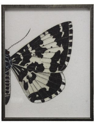 Split Black And White Butterfly, Pewter Shadowbox, Left, Right