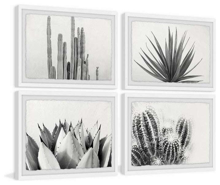 Cactus Kinds Quadriptych, 24"x16"