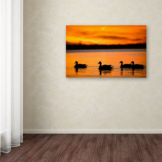 'Jamaica Bay Sunset - NYC II' Canvas Art by David Ayash