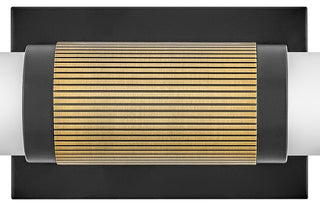 Hinkley Zevi Large Led Vanity, Black