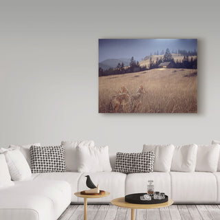 Ron Parker 'Light In The Window' Canvas Art, 32"x24"