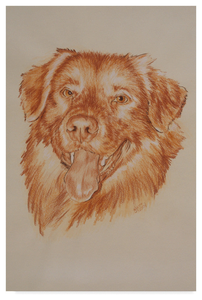 "Golden Retriever" by Barbara Keith, Canvas Art