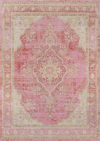 Isabella ISA-1 Machine Made Area Rug, Pink, 7'10"x10'6"