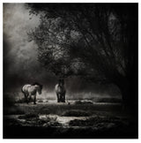 Piet Flour 'Under The Willow Tree' Canvas Art, 14"x14"