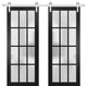 Double Barn Door 72 x 80, Felicia 3312 Black Frosted Glass, Silver 13FT