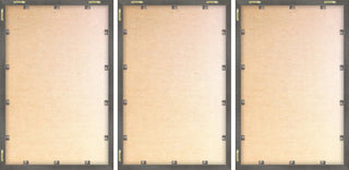 A Lone Bison Triptych, Set of 3, 12x18 Panels