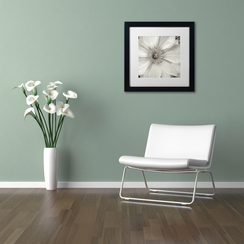 Alan Blaustein ''Florison 32'' Art, Black Frame, White Mat, 16x16