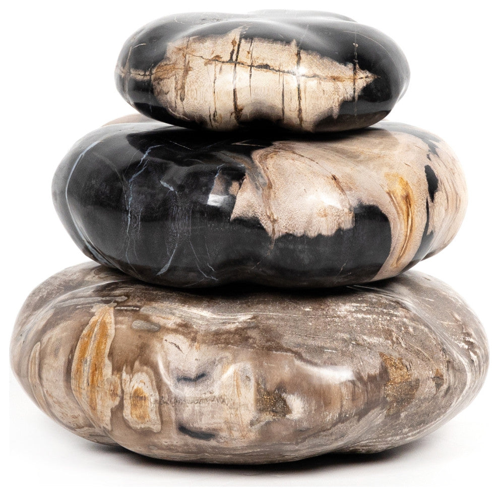 Petrified Wood Organic Sculpture-Dark