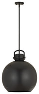 Innovations 710-1S-BK-M710-16BK-LED Newton Sphere 1 Light Pendant, Matte Black