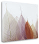 "Cabernet" By Durwood Zedd, Giclee Print on Gallery Wrap Canvas, Ready to Hang