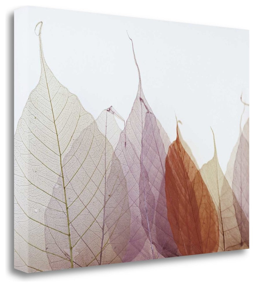 "Cabernet" By Durwood Zedd, Giclee Print on Gallery Wrap Canvas, Ready to Hang