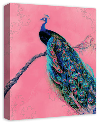 Regal Peacock 16x20 Canvas Wall Art