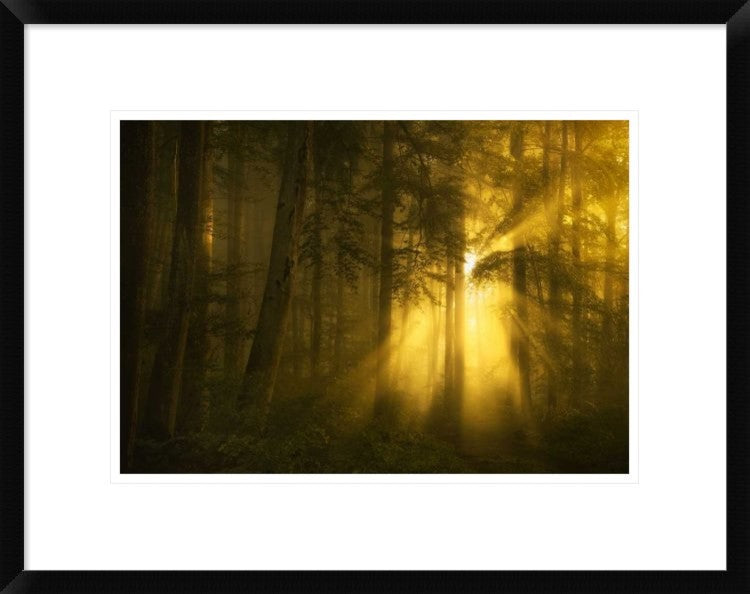 "Yellow" Framed Digital Print by Norbert Maier, 24"x19"