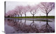 "Rain Of Spring" Stretched Canvas Giclee by Kouji Tomihisa, 30"x20"