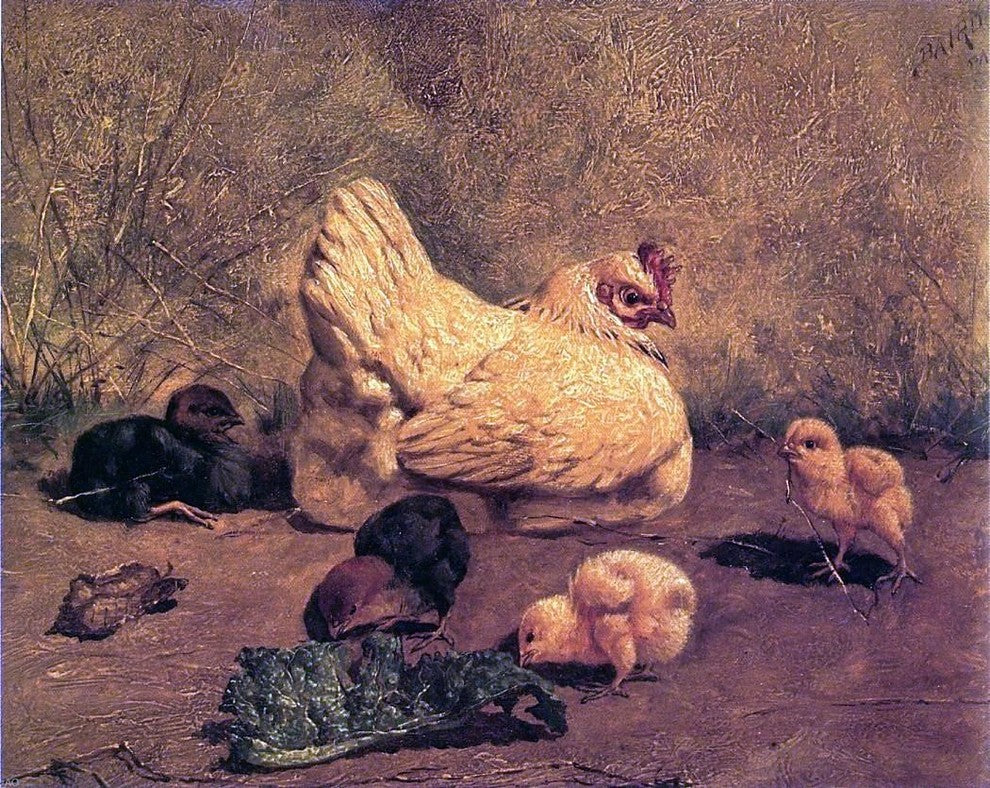 William Baptiste Baird A Hen and Chicks, 20"x25" Wall Decal