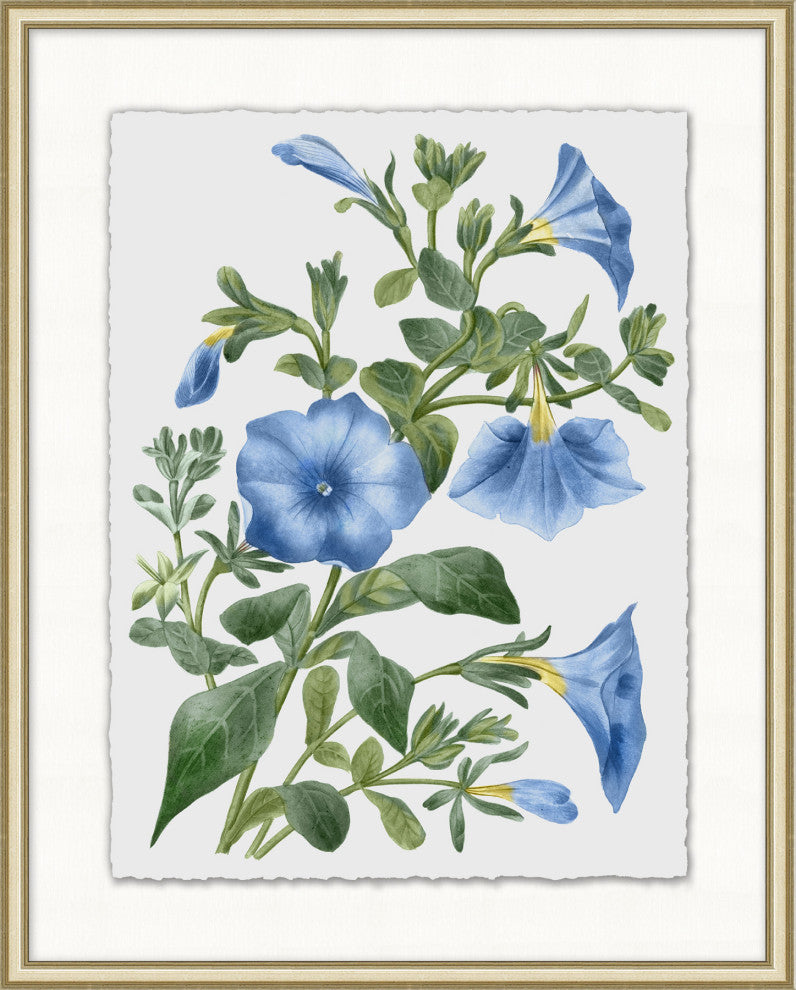 Floral Study 2, Giclee Reproduction Artwork