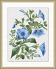 Floral Study 2, Giclee Reproduction Artwork