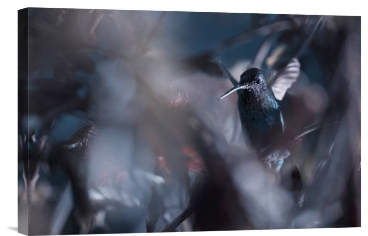 "50 Hz" Stretched Canvas Giclee by Fabien Bravin, 18x12"