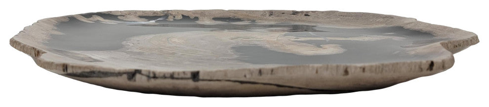 Large 17 in Petrified Wood Stone Tray Centerpiece Plate Fossil Live Edge Natural