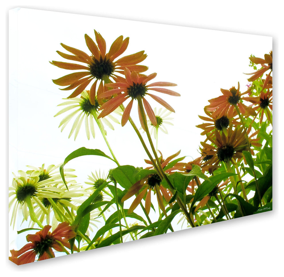 'Orange Coneflowers' Canvas Art by Kathie McCurdy