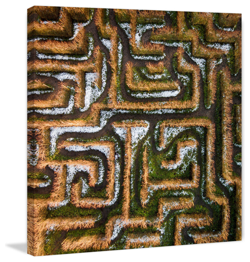 "Earth Maze" Print on Canvas by Karolis Janulis
