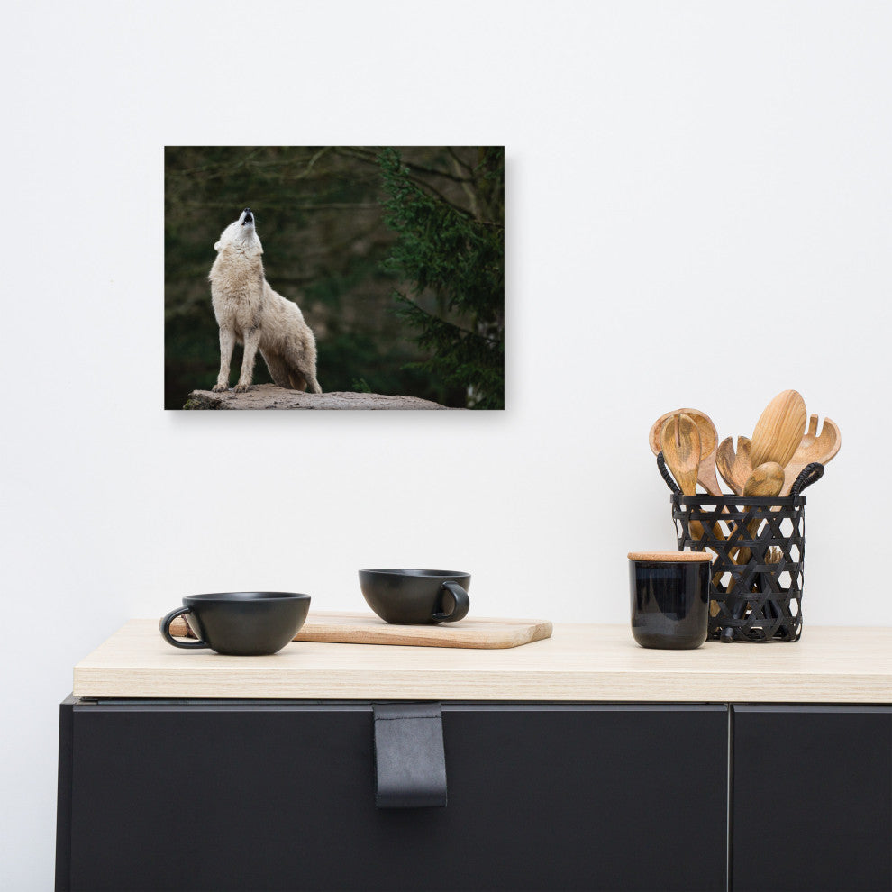Howling White Wolf In The Forest Wildlife Photograph Canvas Wall Art Print, 12" X 16"