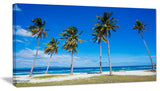 "Bright And Clear Tropical Beach" Seascape Art Canvas, 1 Panel, 60"x28"