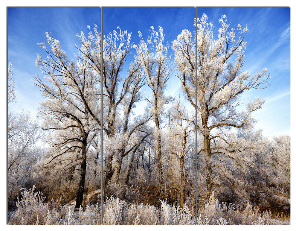 Beautiful Winter Evening View, Landscape Triptych Canvas Art, 36x28, 3 Panels