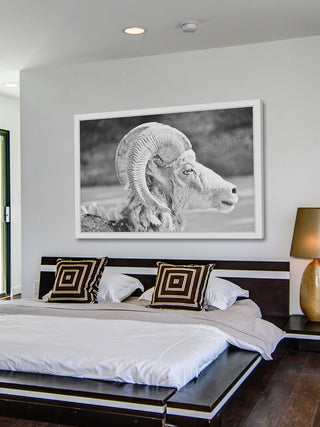 Marmont Hill, "Ram Profile 2" Framed Painting Print, 36x24