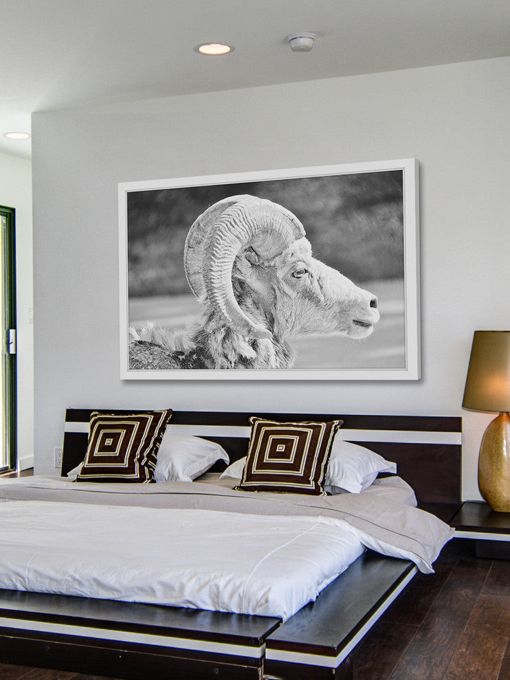 Marmont Hill, "Ram Profile 2" Framed Painting Print, 36x24