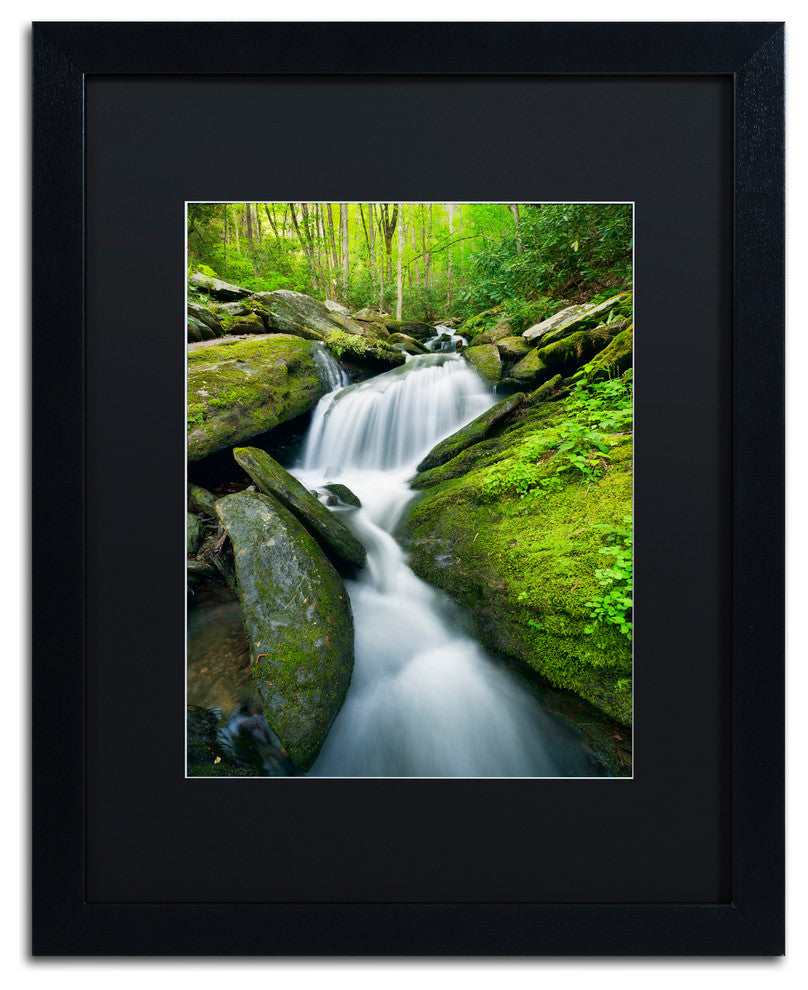 Michael Blanchette 'Cascade Mossy Rocks' Art, Black Frame, Black Mat, 20x16