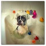 Ddiarte 'The Bath' Canvas Art, 35 x 35