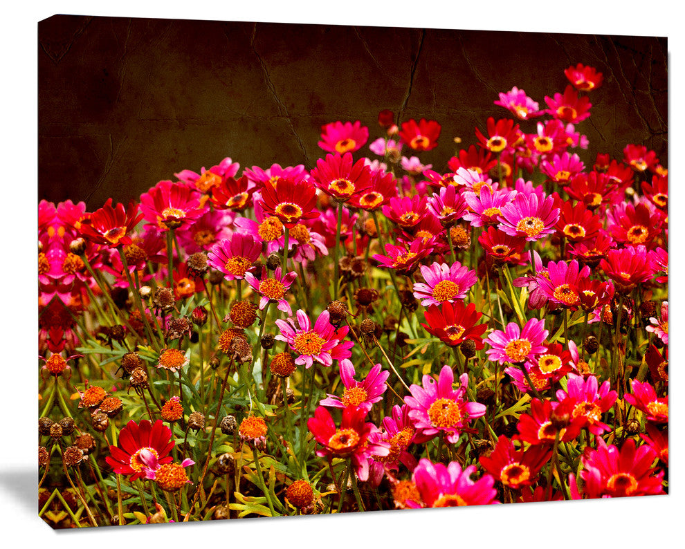 Small Red Flowers in Spring Photo, Large Floral Canvas Artwork, 20"x12"