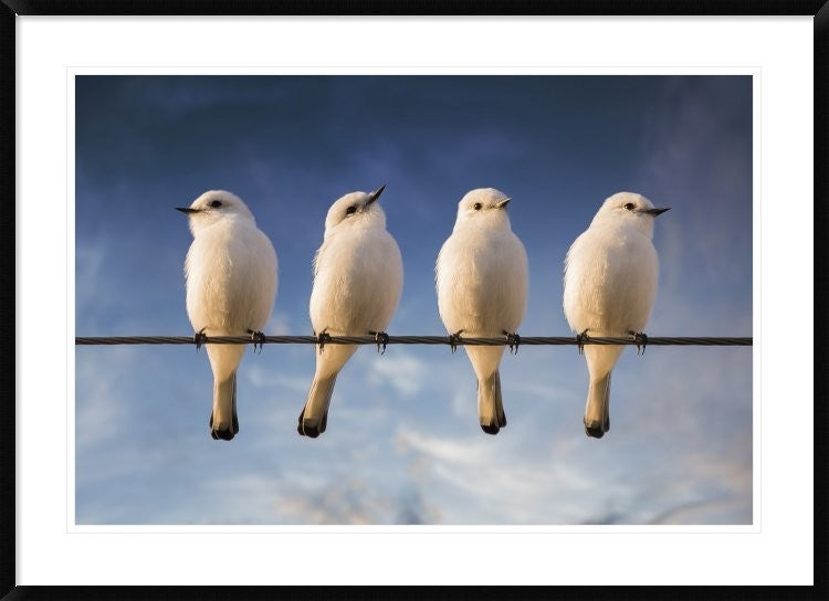 "White Monjita" Framed Digital Print by Chechi Peinado, 44x32"