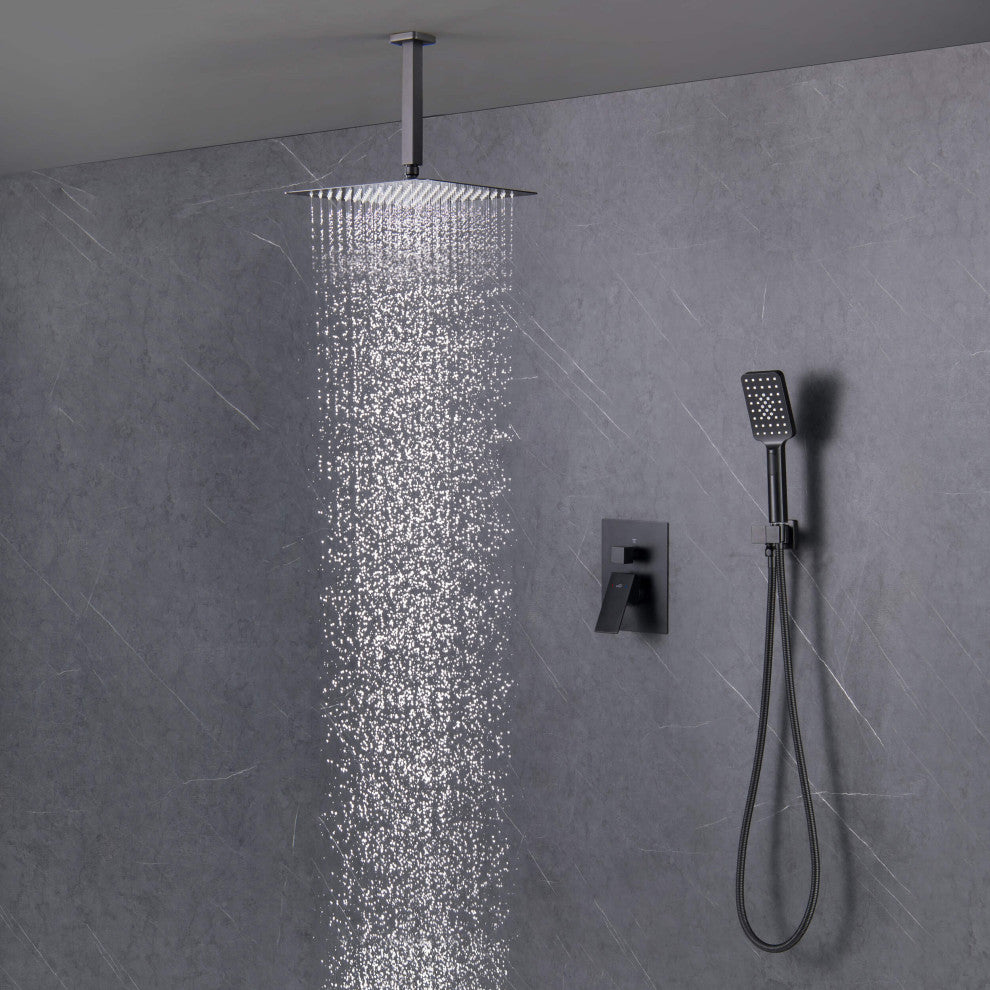 Ceiling Mounted 2-Function Shower System, Rough, Valve, Matte Black