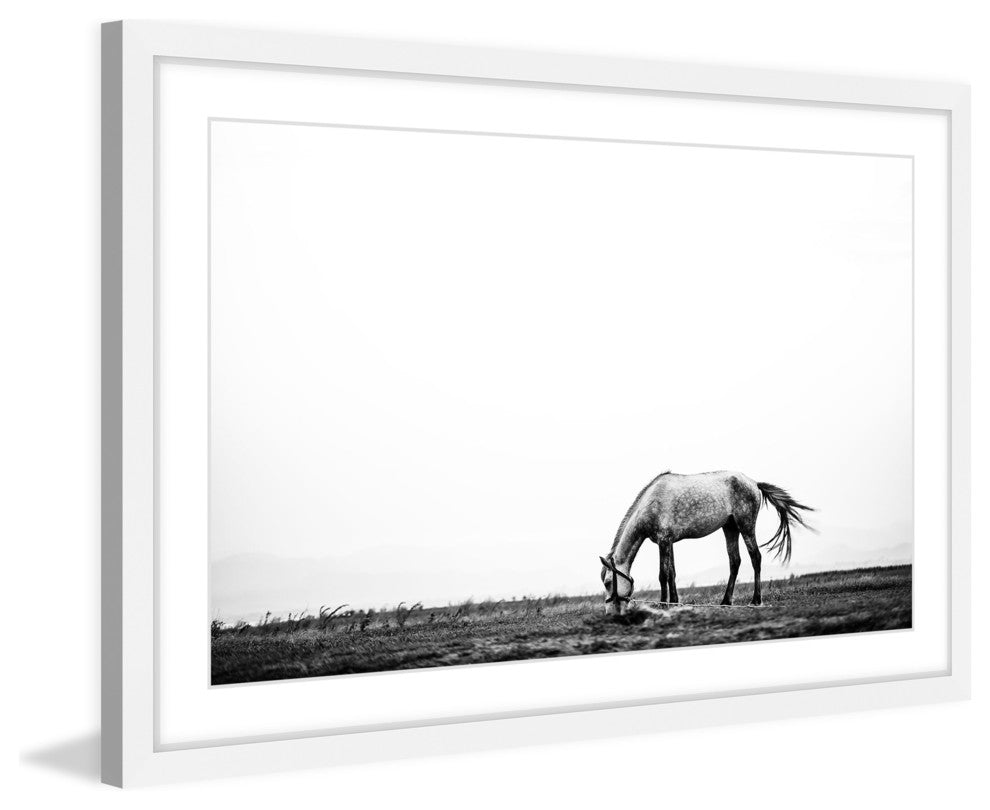 Marmont Hill, "Lone White Equus" Framed Painting Print, 36x24