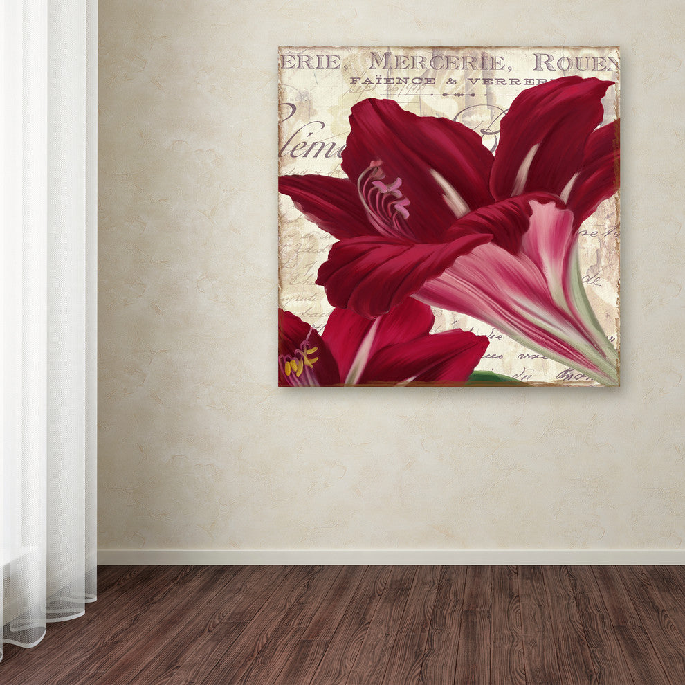 Color Bakery 'Amaryllis ' Canvas Art, 18"x18"