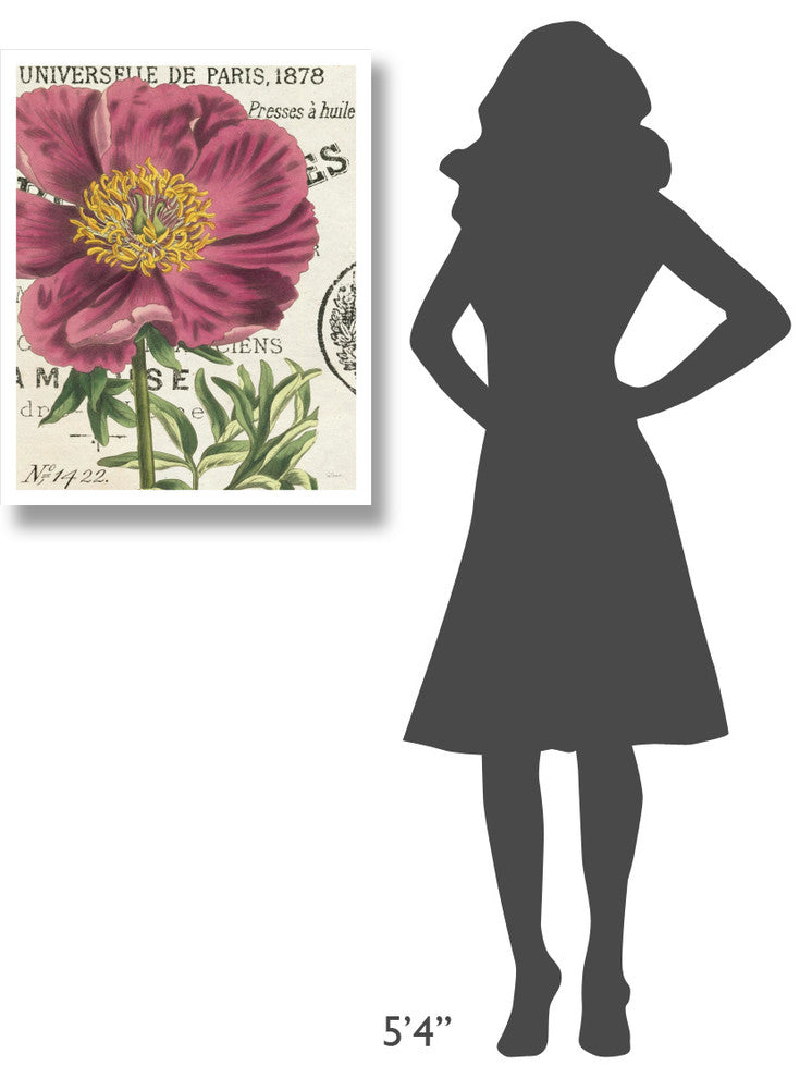 "Peony Botany" Digital Paper Print by Sue Schlabach, 24"x30"