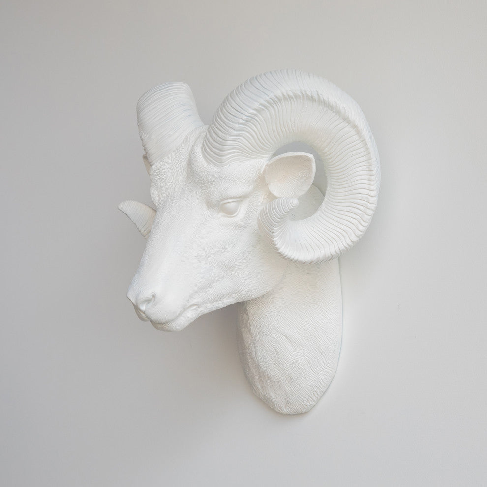 Resin Ram Head Wall Mount, White