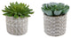 Set Of 2 Pattern Cement Pot