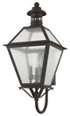 Waldwick Outdoor Wall Lantern, Bronze
