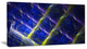 Dark Blue Fractal Grill, Abstract Art on Canvas, 32x16