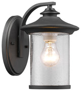 Liam Transitional 1-Light Outdoor Wall Sconce, Black, 10" Height