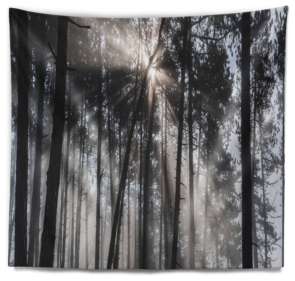 Sunbeams through Black White Forest Forest Wall Tapestry, 39"x32"