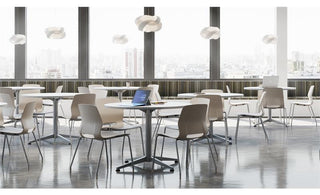 36" Round Pedestal Table - Maple Top - Silver Base