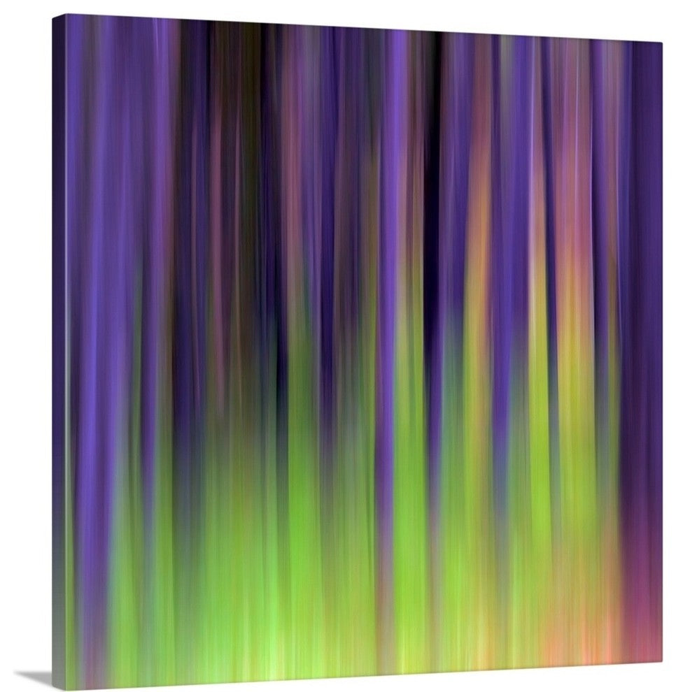 "Lodgepoles " Wrapped Canvas Art Print, 16"x16"x1.5"